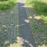 Bild des Weges zum Eingang Bild des Weges zum Eingang