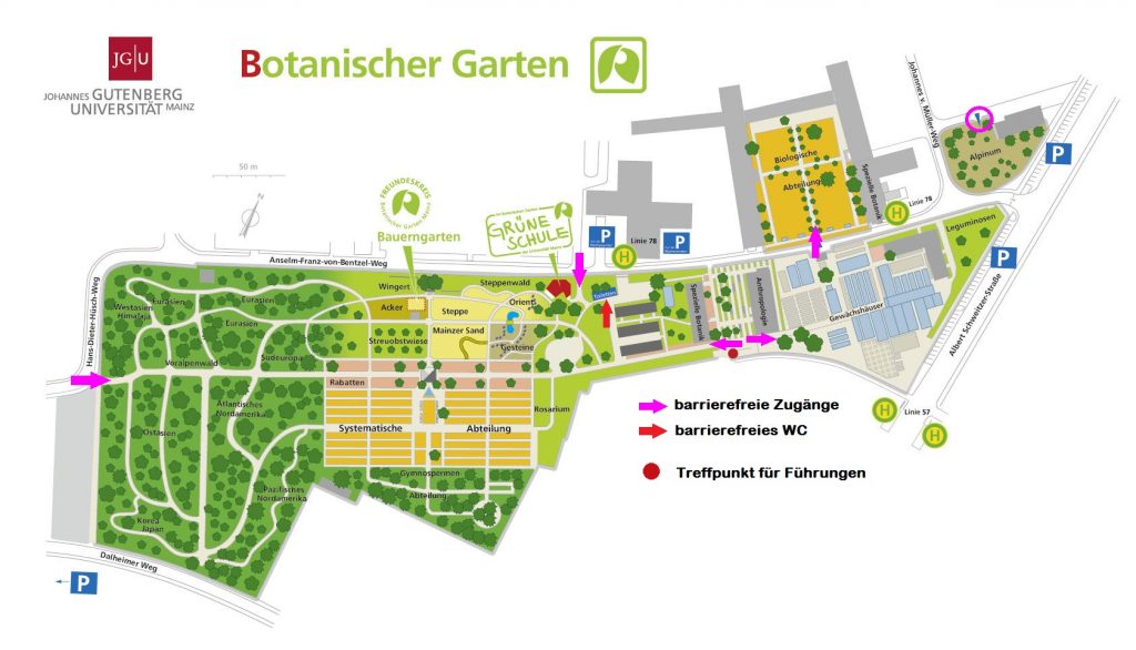 Lageplan des botanischen Gartens. Nicht barrierefrei.